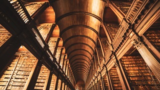 Harry Potter library