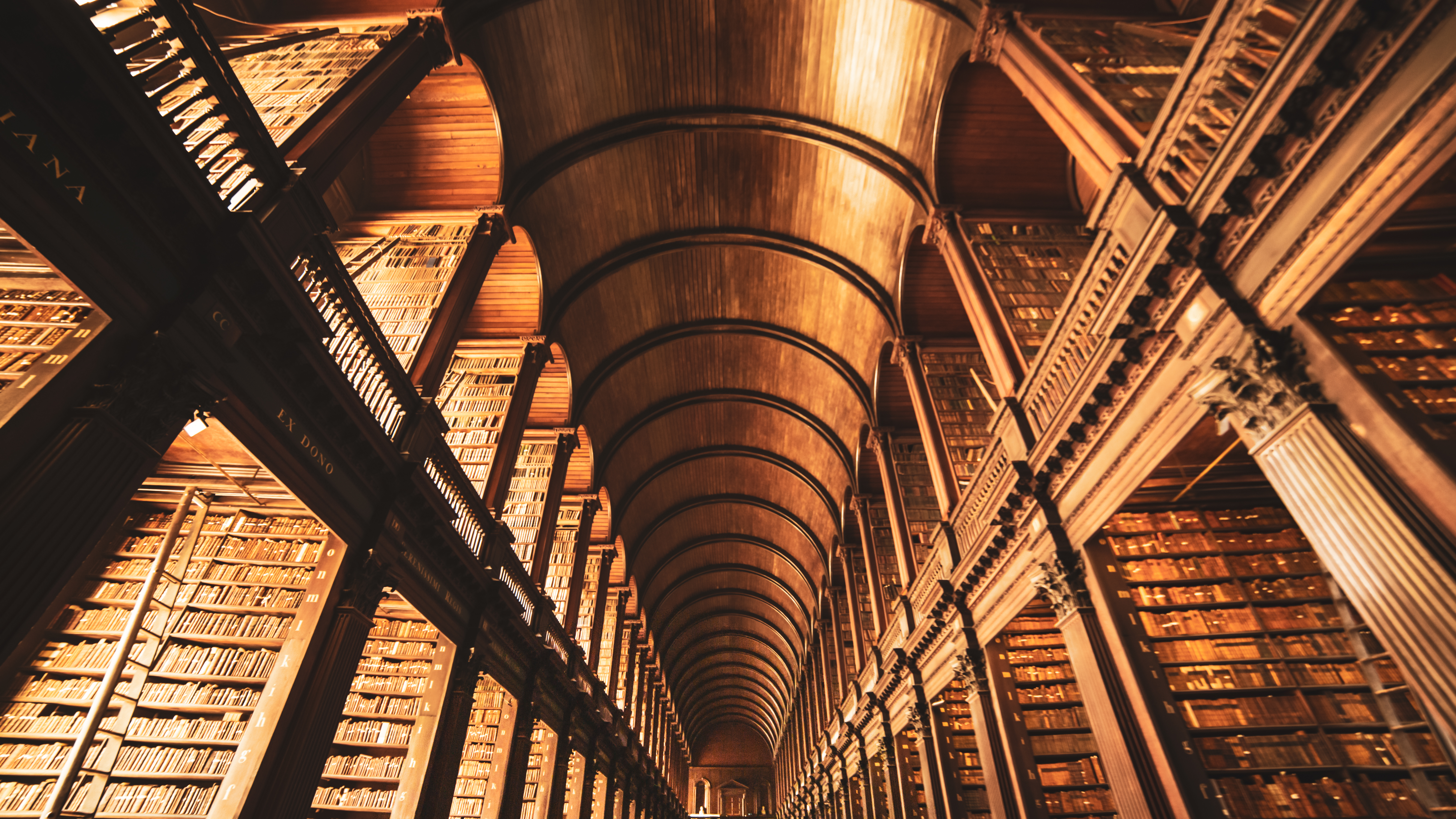 Harry Potter library